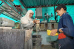 Women in Palestine photos